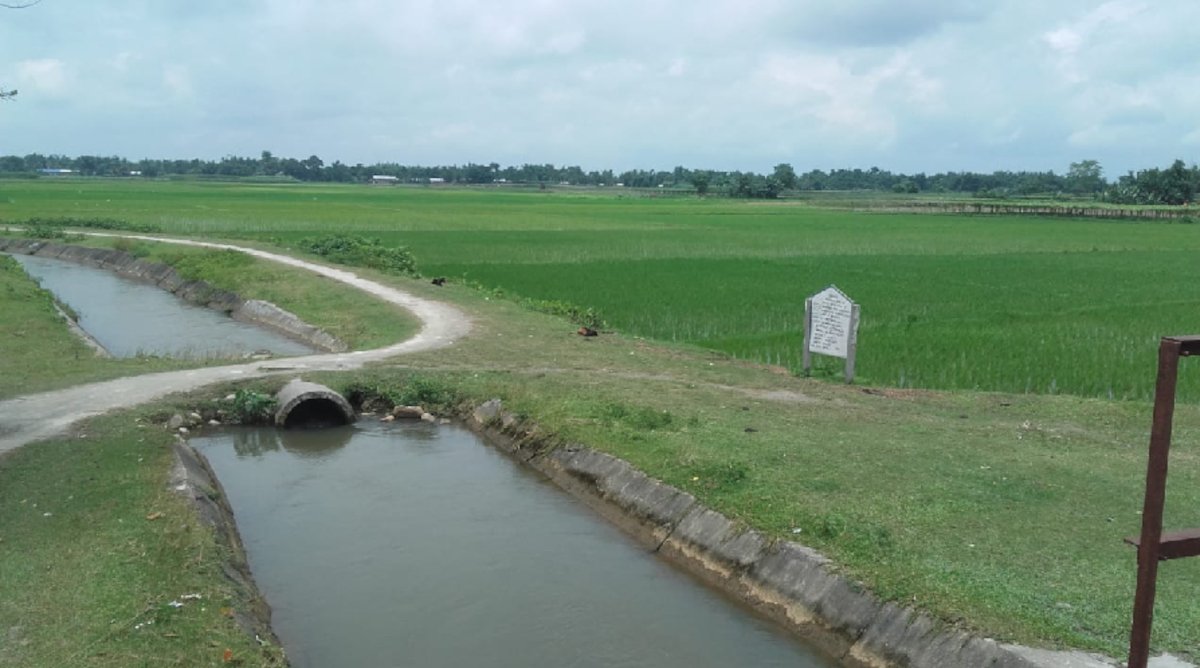 Assam irrigation