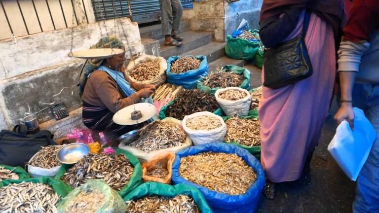 Most Meghalaya Households Earn Below ₹5,000 Monthly, Reveals Climate Vulnerability Study