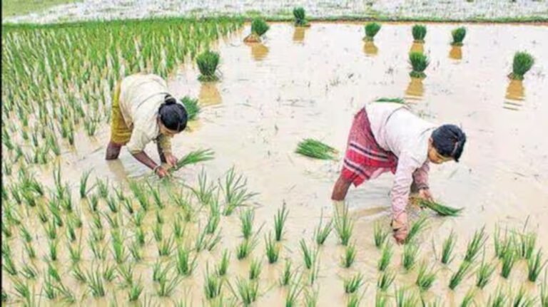 Tripura Farmers Receive Over ₹45 Crore Under PM-KISAN Scheme
